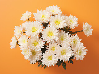 White chrysanthemums displayed on orange backdrop with space for text