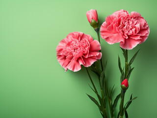 Vibrant carnation flowers set against a green paper backdrop