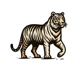 Sumatran tiger hand drawn vector illustration