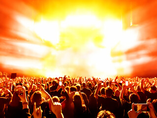 crowd of people dancing at a rock concert