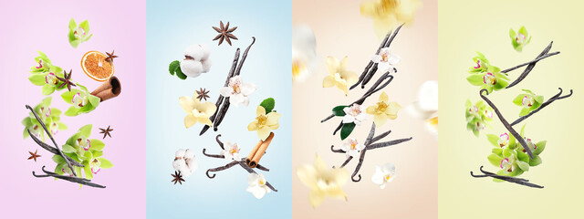 Collage with flying vanilla sticks, orchid flowers and spices on color background