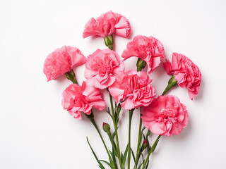On a white background, a flat lay displays pink and red carnations with ample copy space