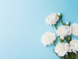 Fototapeta na wymiar Four white carnations and eucalyptus arranged on blue for a romantic gesture