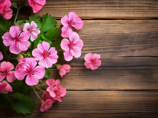 Fototapeta na wymiar Top view of geranium blooms on a wooden backdrop with ample copy space