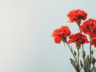 Little red carnation flowers depicted on light background with copy space