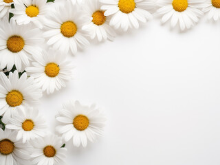 Obraz premium Creative layout features lovely daisies forming a floral border on white desktop