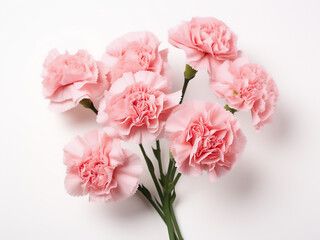 Pink carnation flower serves as a backdrop for Mother's Day celebrations