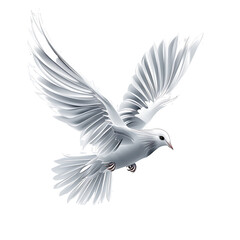 dove of peace isolated on transparent background
