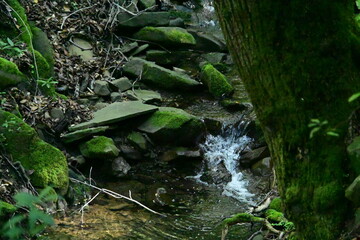 water flowing into the water