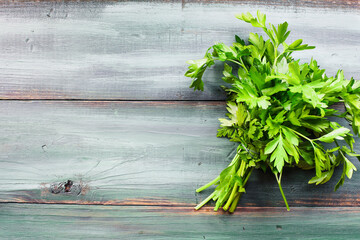Bundle of fresh Italian flat leaf parsley herb over a painted background. Table top view. Overhead. Flatlay.