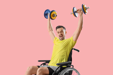 Sporty young man in wheelchair with dumbbells on pink background