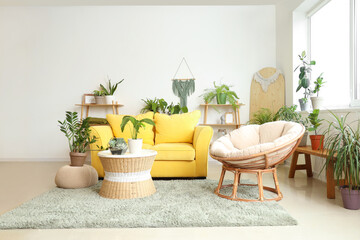 Interior of living room with plants, sofa and armchair