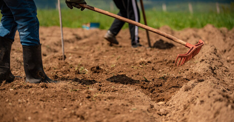 Team of farmers are working on an agricultural fields on the country garden.