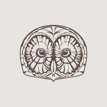 head drawn  Owl outline vector  design