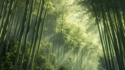 Tuinposter 바람이 부는 대나무숲 © JINSOO