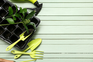 Containers for seedlings, plant and gardening tools on green wooden background. Top view - obrazy, fototapety, plakaty
