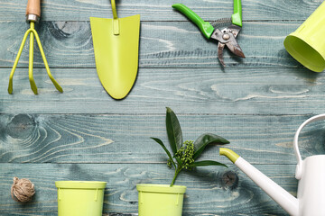 Gardening tools on blue background. Top view