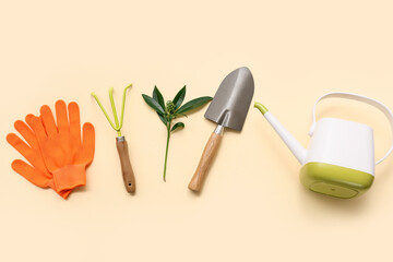 Gardening tools on beige background. Top view