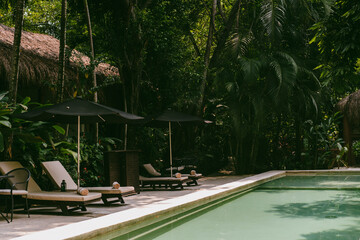  view of swimming pool in the jungle