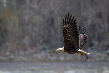 Carying Lunch Back to Shore