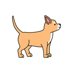 cute chihuahua dog vector illustration