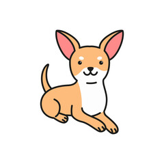 cute chihuahua dog vector illustration