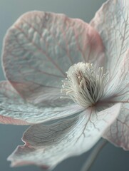 Close up on the delicate veins of a petal, revealing the life support system of a flower.