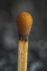 Macro photography of a match head before ignition, capturing the potential for fire in detail.