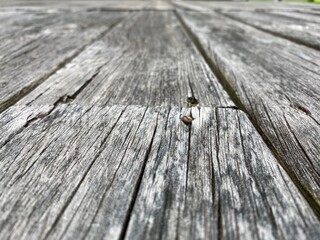 wood texture