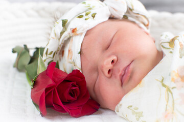 Little newborn baby girl sleeping in a bassinet with a rose near her face. Close-up portrait of a just born baby