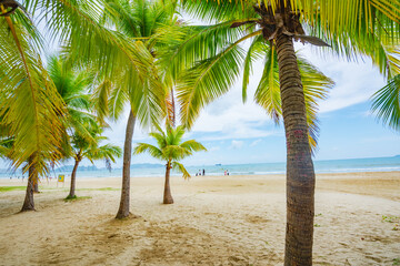 Coconut forest beach scenery at Coconut Dream Corridor in Sanya, Hainan, China