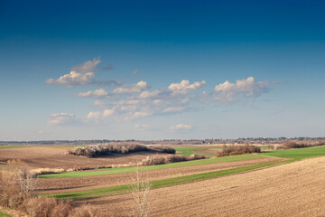 Panorama of cultivated lands in the serbian agriculture in deliblatska pescara, also called deliblato sands, in Vojvodina, banat region, in Serbia, a major agricultural place of central europe.