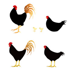 黒い雄鶏と雌鶏　ひよこ　イラストセット © M_K Mizuirokotori