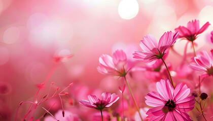 Obraz premium Minimalist photography background 