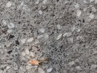 texture of stone, textura de piedra
