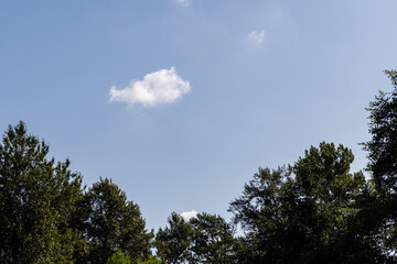blue sky background with white clouds and green trees