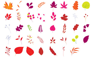 Collection of Flat Autumn Leaves, Flowers Bud, Leaves Petal, Flowers Petal Vector Element Clipart Isolated