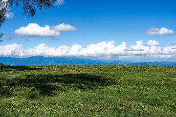 草原のある風景 牧草地 高原 高台 青い空 積乱雲meadows meadow upland blue sky cumulonimbus cloud - obrazy, fototapety, plakaty