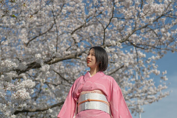 満開の桜の下で微笑む着物を着た若い女性