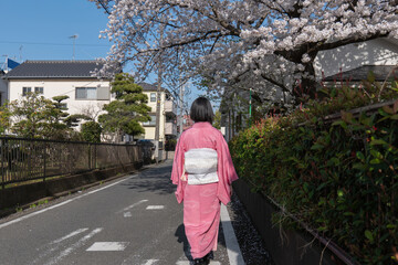 桜の咲く道を歩く和服の女性の後ろ姿