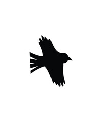 crow icon, vector best flat icon.
