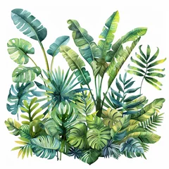 Foto op Plexiglas Monstera Lush Tropical Leaves Watercolor Cluster