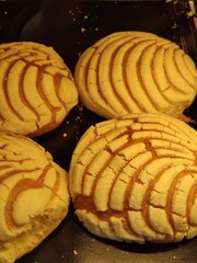 Authentic concha, traditional Mexican sweet bread made from vanilla,Auténtica concha, pan dulce mexicano tradicional hecho de vainilla