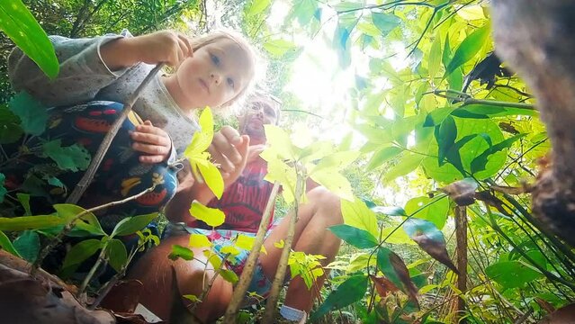 Family science. Adult man with kid sit in the tropical forest and watch ants running on the ground. Father explains his daughter life of leaf cutterants