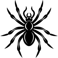 black and yellow spider, black spider silhouette vector illustration,icon,svg,spider characters,Holiday t shirt,Hand drawn trendy Vector illustration,spider ship on a white background