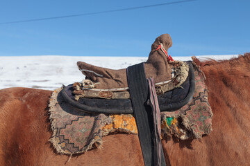 Shepherd's saddle on the horse's withers close-up - obrazy, fototapety, plakaty