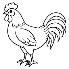 rooster