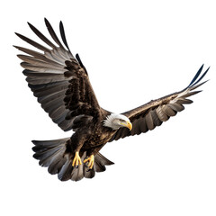 illustration of flying eagle, Isolated on transparent PNG background, Generative ai