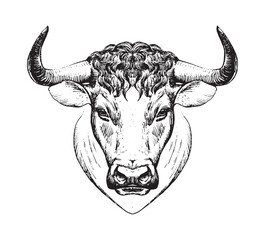 Year of the Ox, zodiac sign Taurus, bull s face, farm animal. Isolated illustration, line logo, stylization of tattoo, Spanish bullfight. Vector hand drawing.