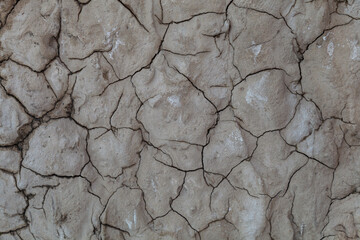 Old rough wet cement wall as background or wallpaper